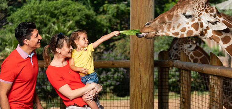 San Antonio Zoo